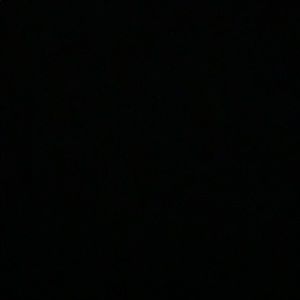 Meet your Posher, Paige